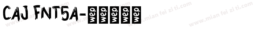 CAJ FNT5A字体转换